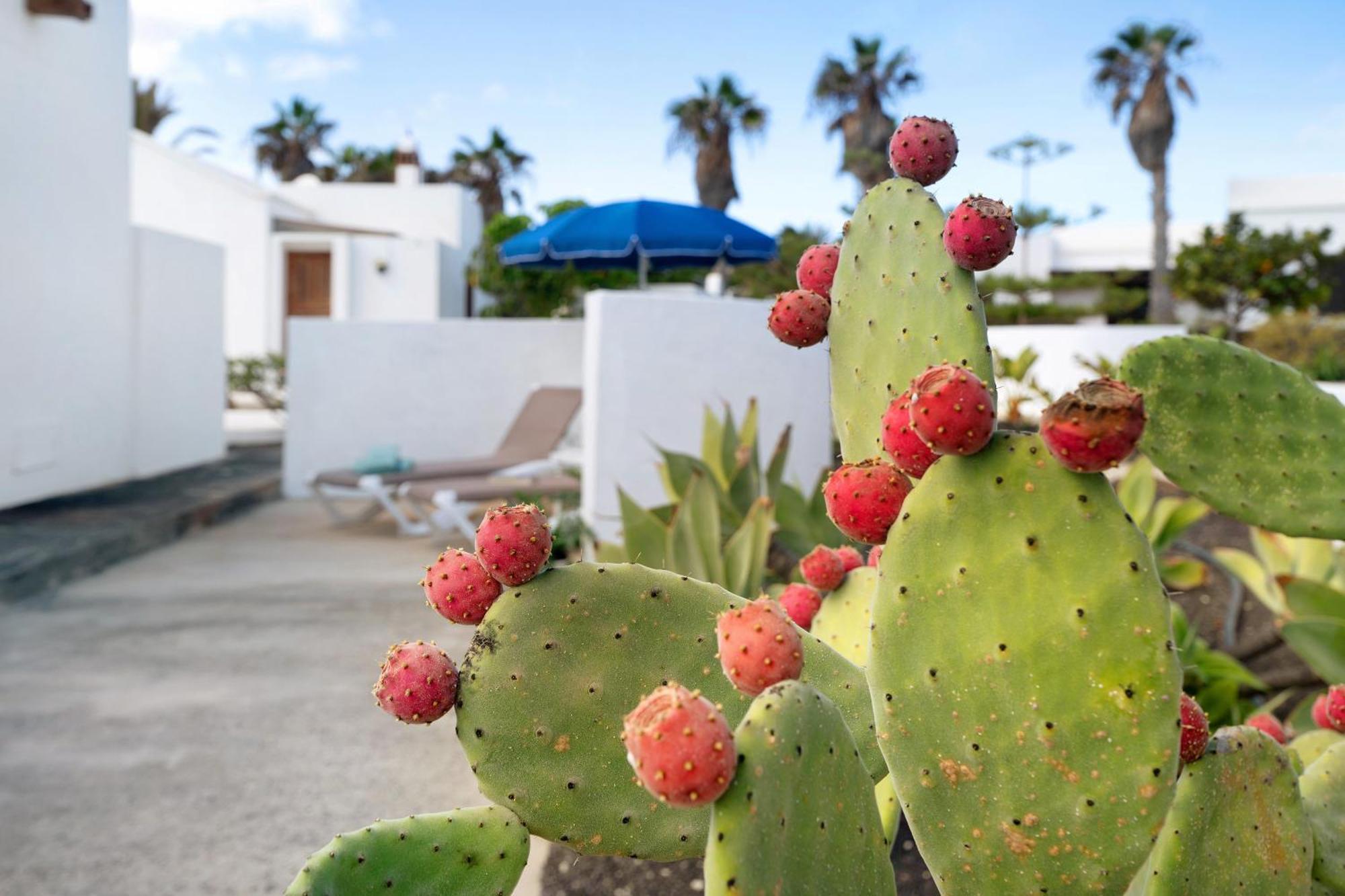 Casa Aloe Villa Haría Buitenkant foto